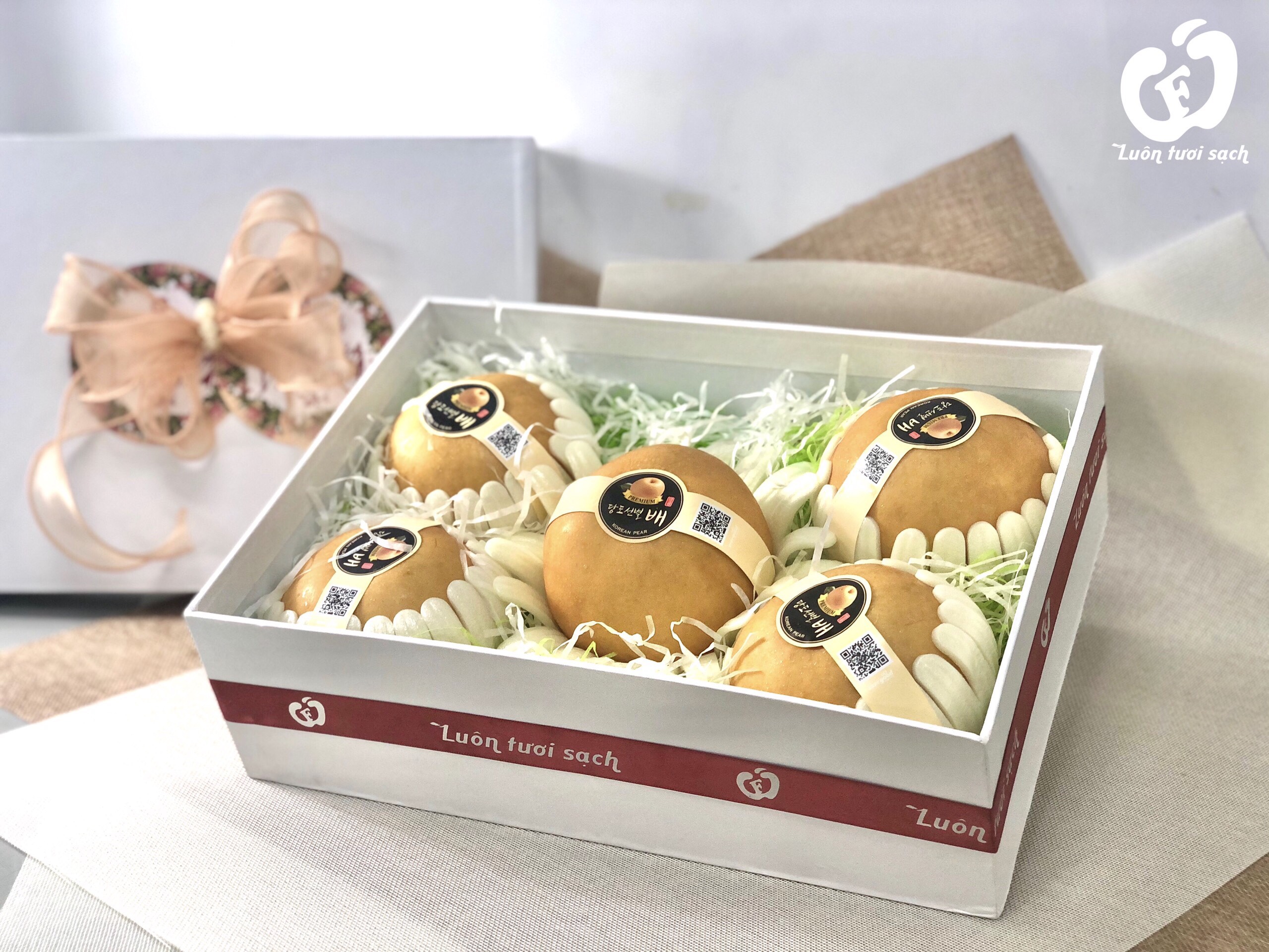 Hộp quà PN03